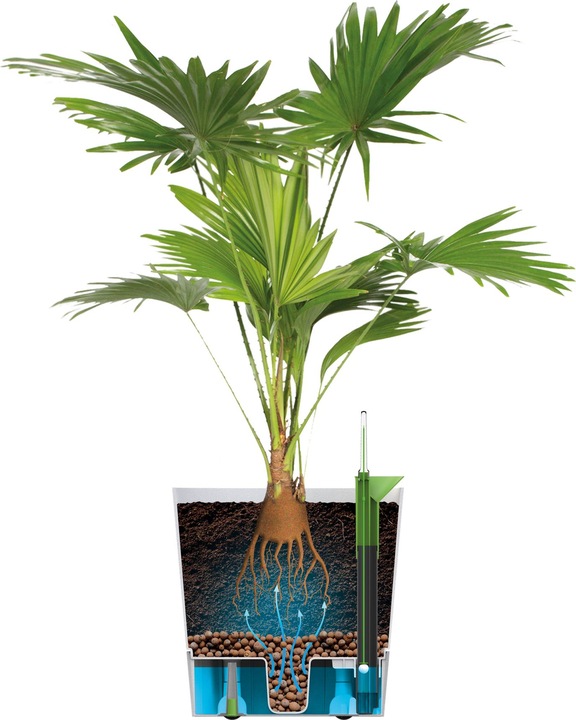 Produktbild Elho Blumenschale (30 cm)