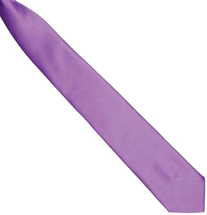 Image du produit Premier Cravate en satin à clipser