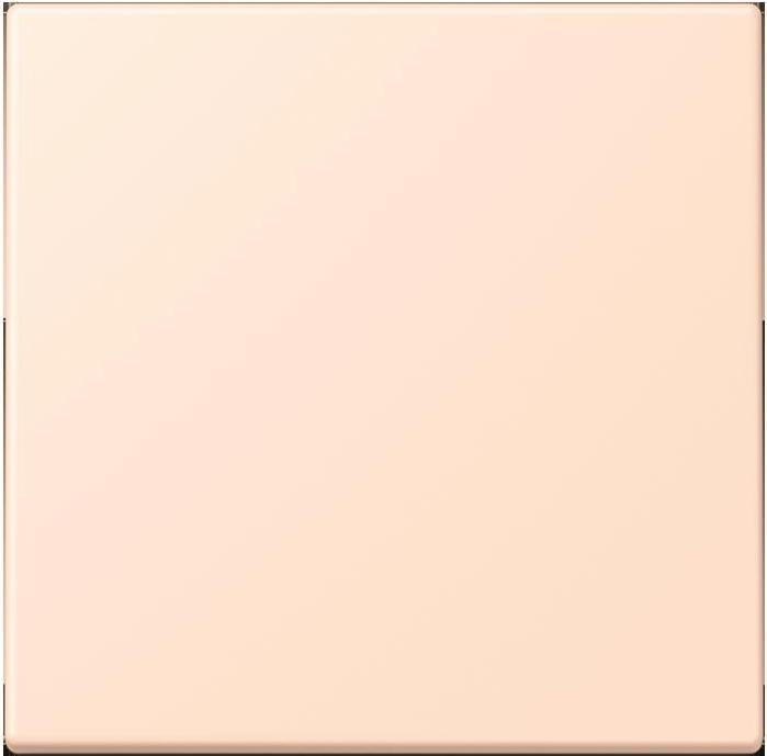 rose pale (32091)