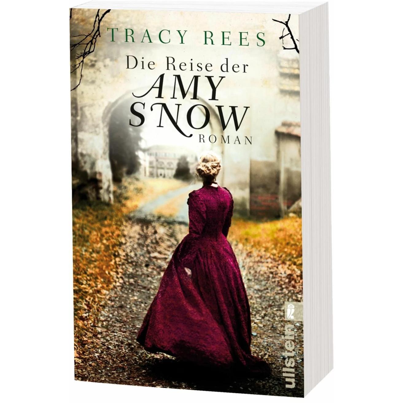Die Reise der Amy Snow, Belletristik von Tracy Rees