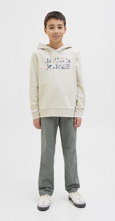 Image du produit Jack & Jones Jjebryan Corp Logo Sweat Hood Noos Jnr (176)