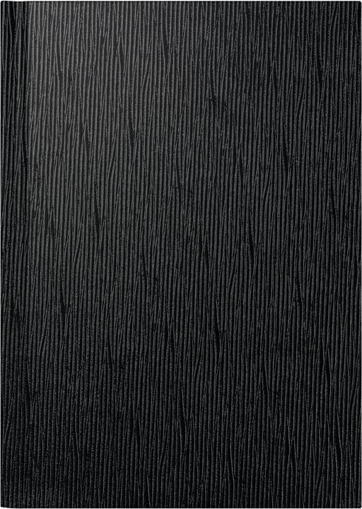 Image du produit Simplex Agenda journalier RIDOIDE Mentor 2025 (A5, 1 jour / 1 page)