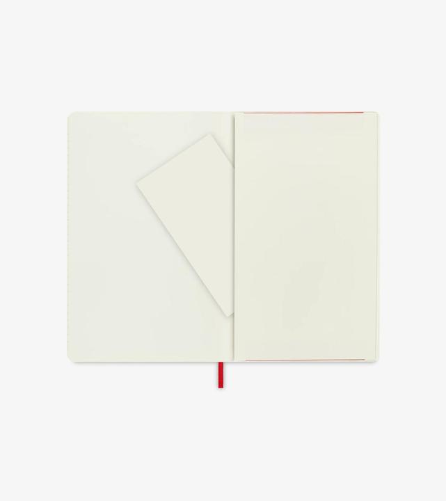 Actual product image Moleskine Notebook Large (Special, Lined, Soft cover)