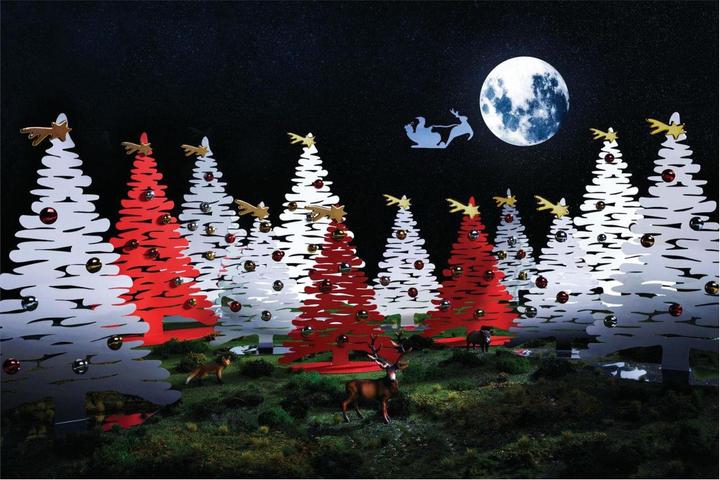 Image du produit Alessi Des écorces pour Noël