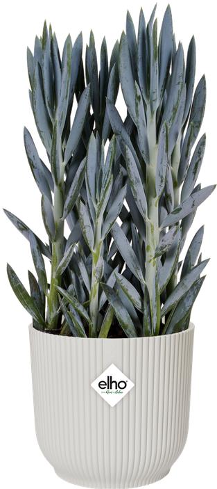 Image du produit Elho Vibes Fold (34.80 cm)