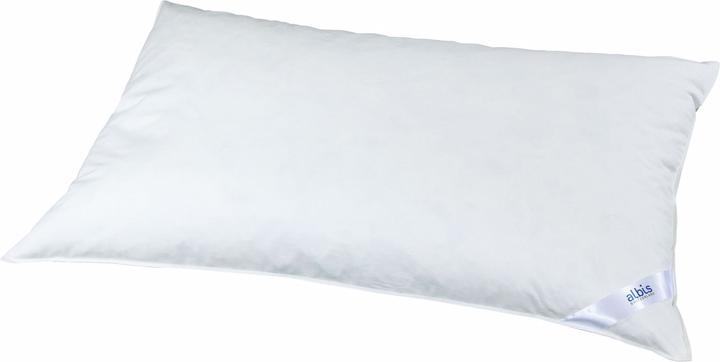 Albis Coussin moelleux 100