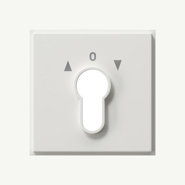 Actual product image Gira Cover for key switch/button 066466