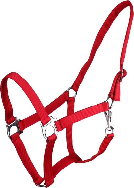 Qhp cavezza di nylon con fibbia scorrevole