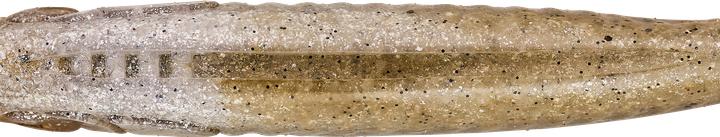 Produktbild Caperlan 332790 (6 cm)