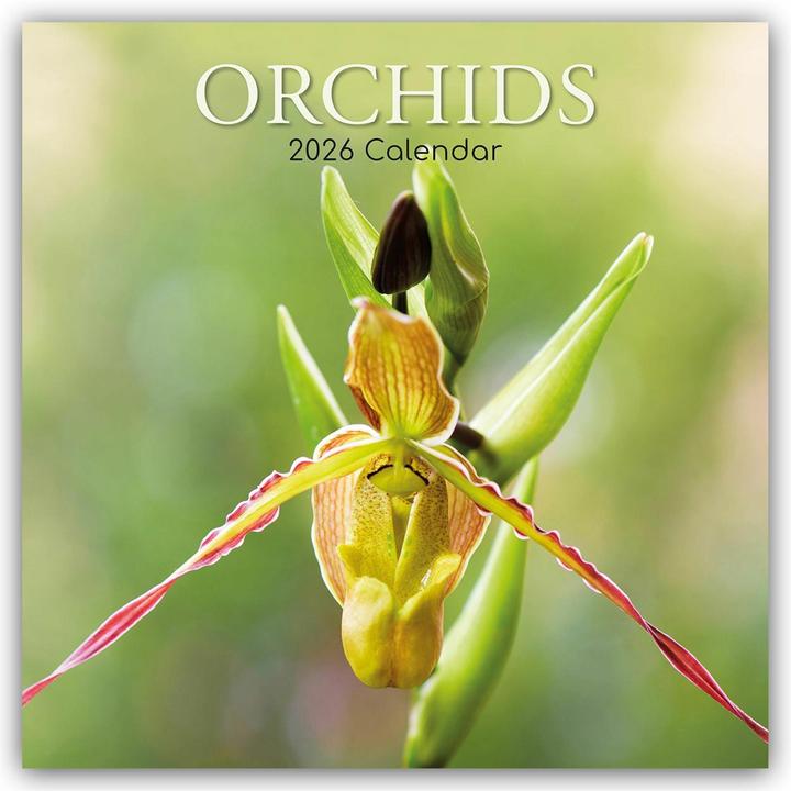 Image du produit Gifted Stationery Co. Ltd:Orchids - Orc (30,5 x 30,5 cm)