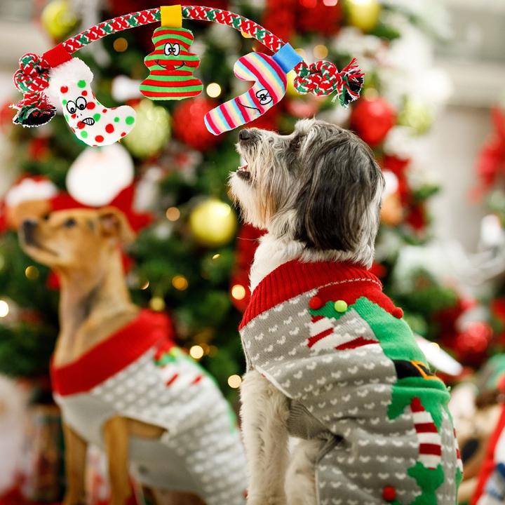 Produktbild Red Dingo DINGO Magic Moments - Hundespielzeug - 34 cm