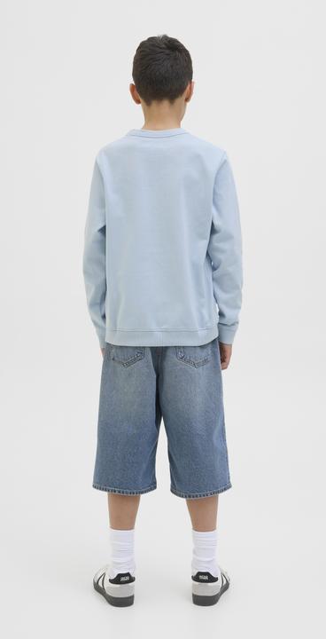 Actual product image Jack & Jones Gedruckt Sweatshirt Junior Sweatshirt (164)