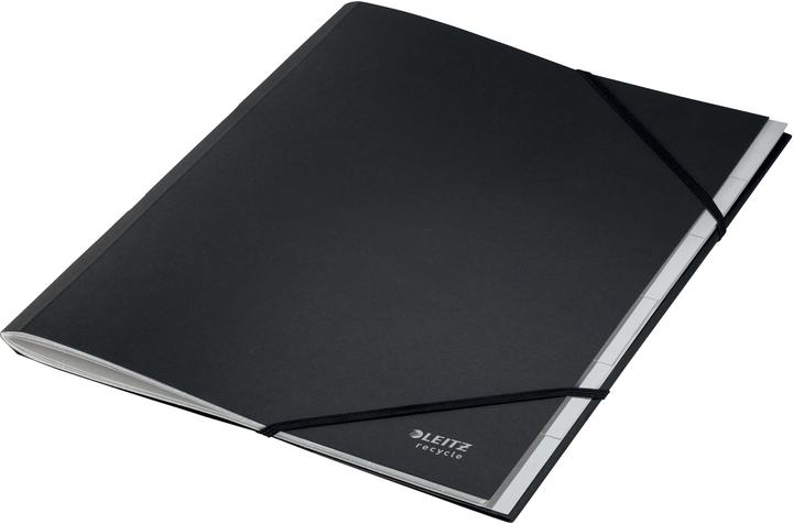 Immagine prodotto Leitz Cartella (A4, 1x)