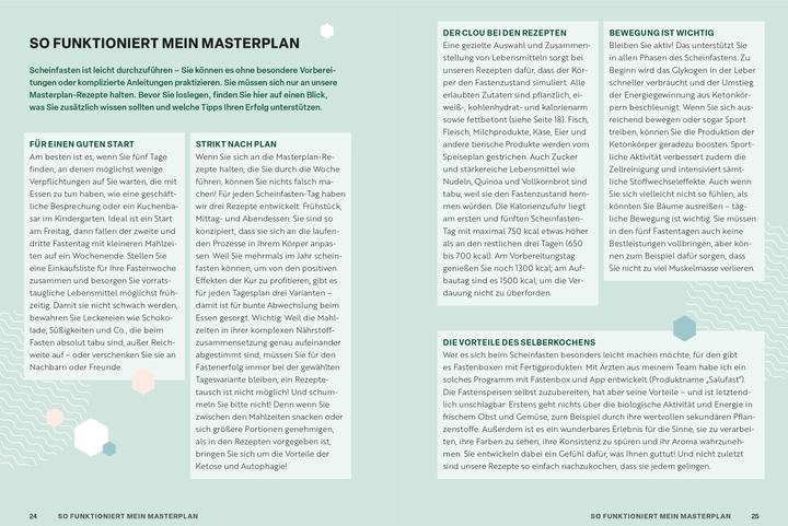 Actual product image Scheinfasten – mein Masterplan (German, Andreas (Prof. Dr) Michalsen, Andreas Michalsen, 2025)