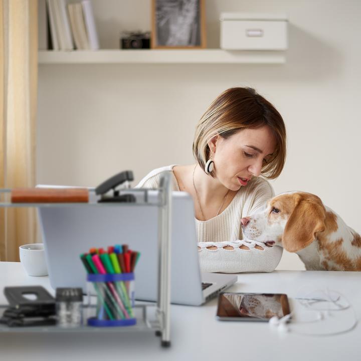 Actual product image Relaxdays Spice rack