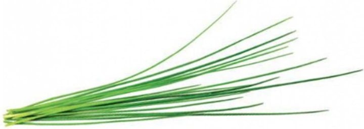 Actual product image Click and Grow Chives (Herb seeds)