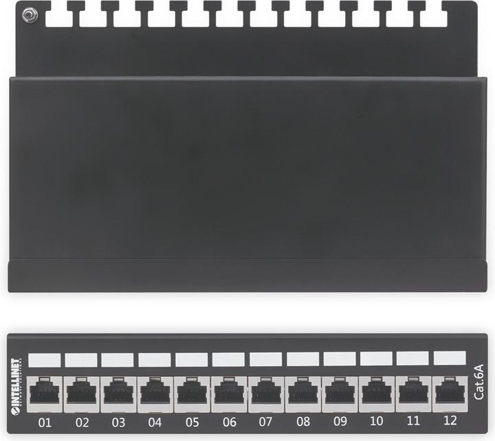 Immagine prodotto Intellinet Cat6a schermato