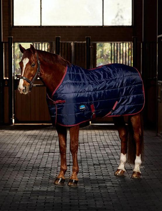 Weatherbeeta Comfitec 210D Standard 100g