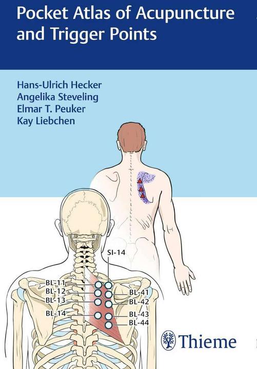 Produktbild Pocket Atlas of Acupuncture and Trigger Points (Englisch, Angelika Steveling, Elmar T. Peuker, Hans Ulrich Hecker, Kay Liebchen, 2017)