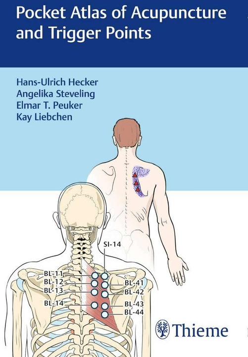 Produktbild Pocket Atlas of Acupuncture and Trigger Points (Englisch, Elmar T. Peuker, Angelika Steveling, Kay Liebchen, Hans Ulrich Hecker, 2017)
