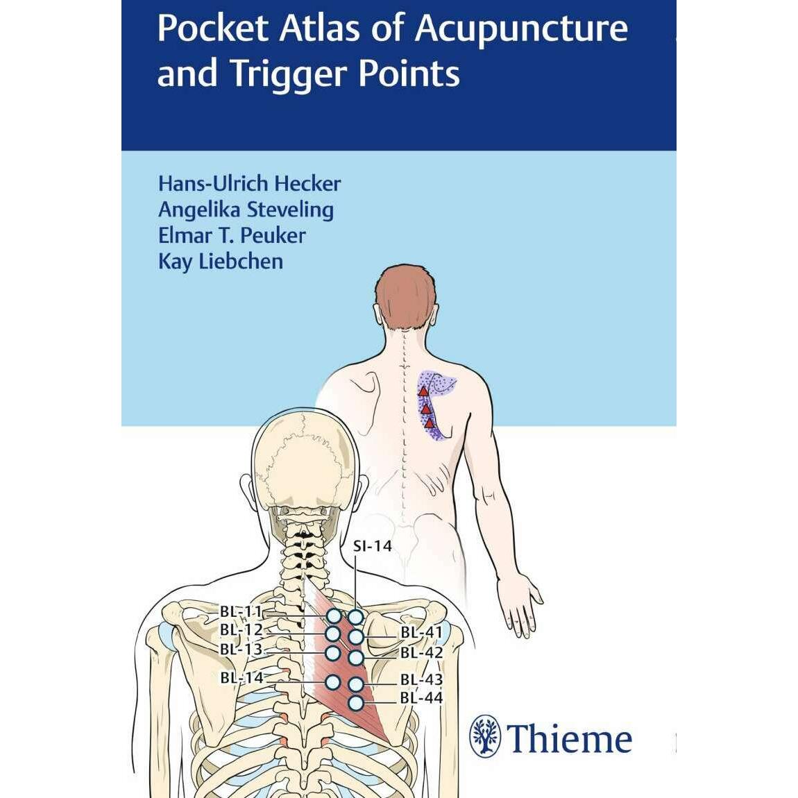 Thumbnail - Pocket Atlas of Acupuncture and Trigger Points, Sachbücher von Hans Ulrich Hecker, Angelika Steveling, Kay Liebchen, Elm...
