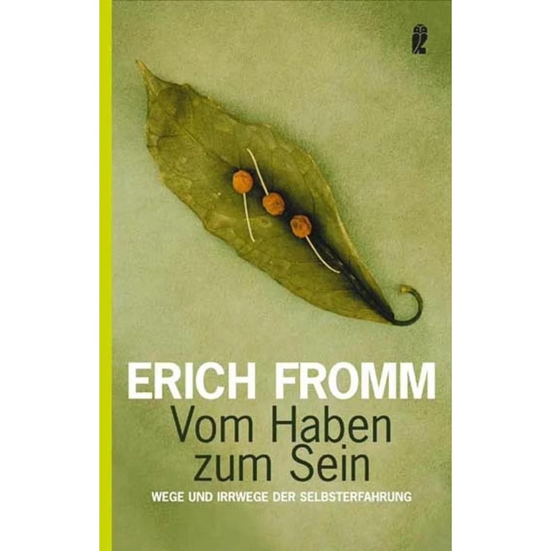 Vom Haben zum Sein, Fachbücher von Erich Fromm