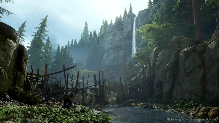 Actual product image Sony Days Gone (PS4, DE)