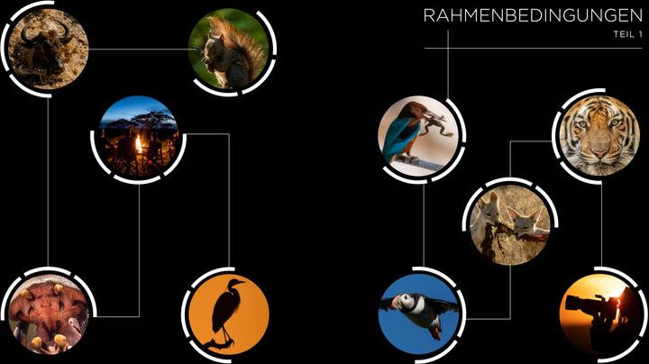 Produktbild Einführung in die Naturfotografie (Deutsch, Iago Corazza, Massimiliano Biasioli, 2022)
