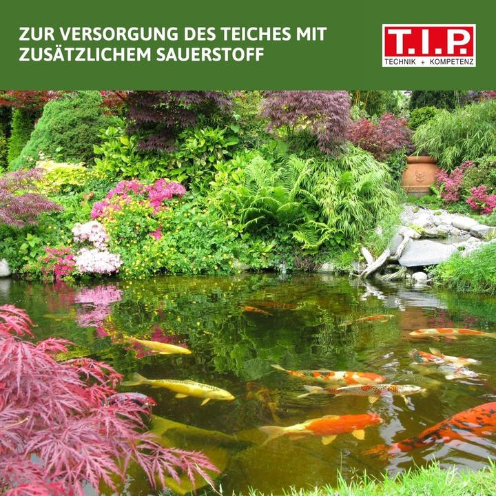 Produktbild T.I.P. Teichbelüfter