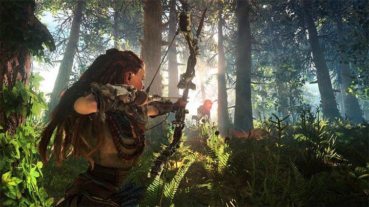 Actual product image Sony Horizon Zero Dawn - Complete Edition (PS4, EN)