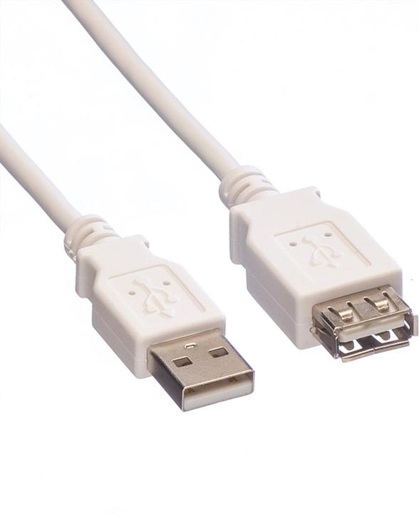 Actual product image Value USB 2.0 (3 m, USB 2.0)