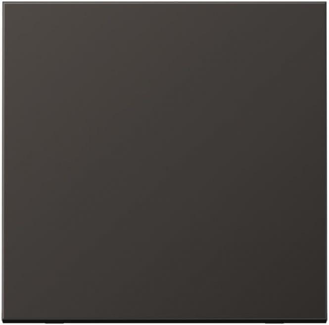 Actual product image JUNG Rocker for switch/button AL2990D Aluminium dark