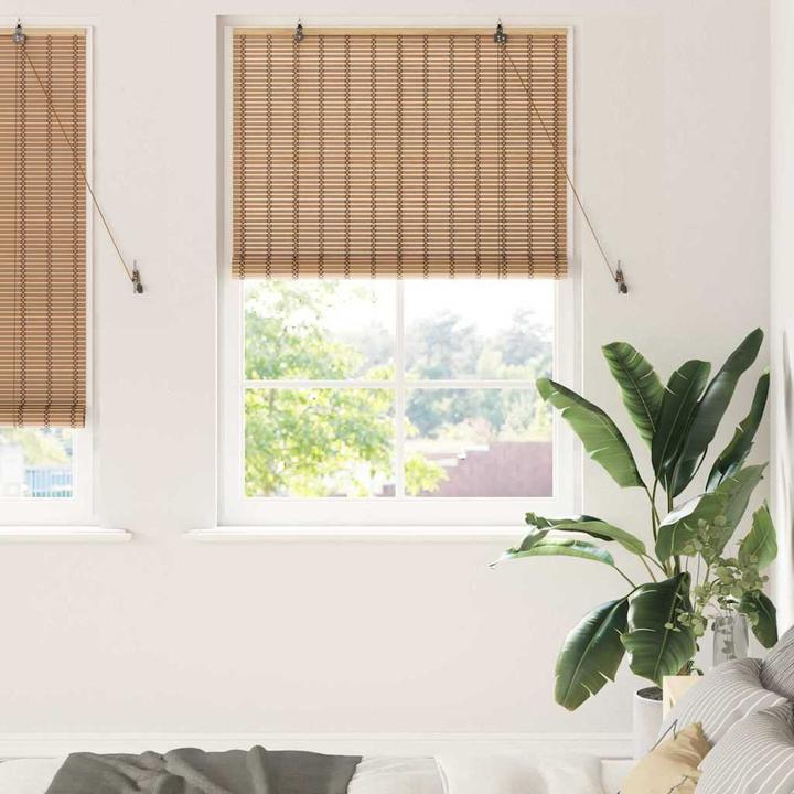 Immagine prodotto VidaXL Tende per finestre (110 x 220 cm)