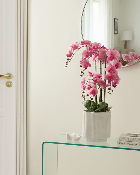 Immagine prodotto Beliani Orchid (65 cm)