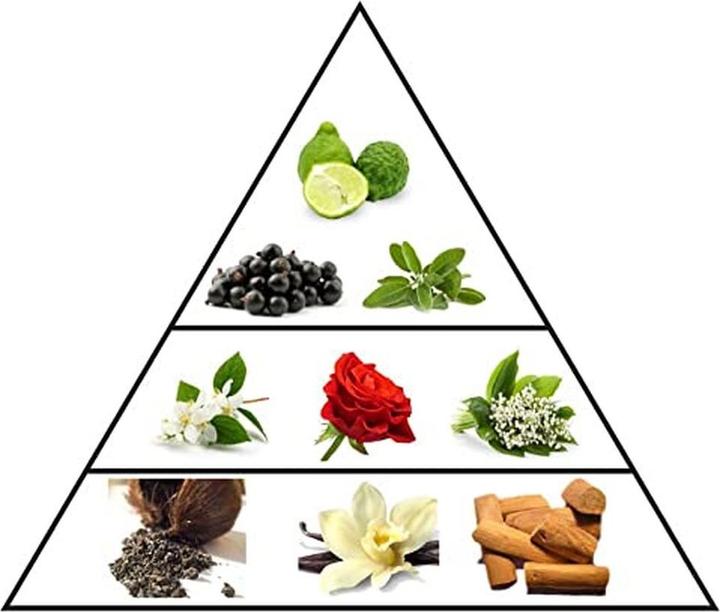 Actual product image Al Haramain L'Aventure Gold - EDP - 200 ml (Eau de parfum, 200 ml)