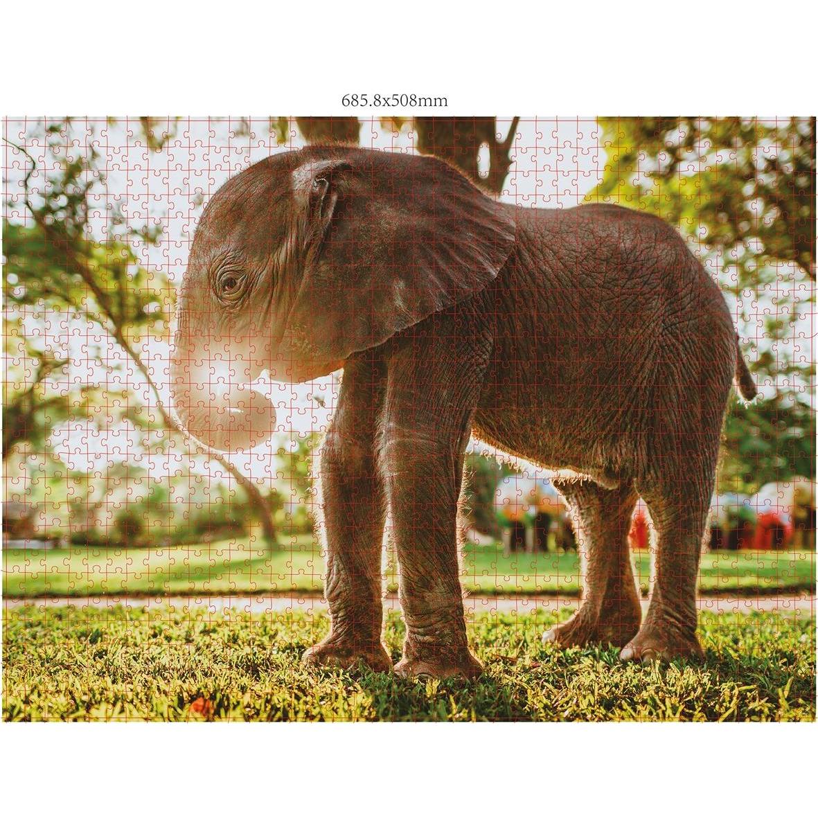 Merchant Ambassador Wildtiere Afrika Donal Boyd (1000 Teile)