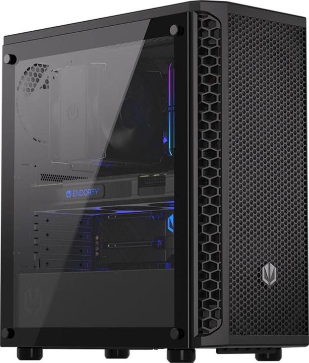 Endorfy Signum 300 Kerngehäuse (ATX, mATX, Mini-ITX)