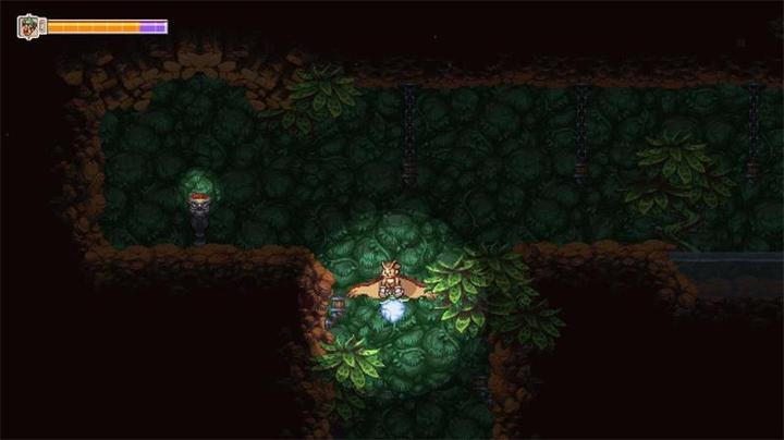 Image du produit Owlboy (PS4)