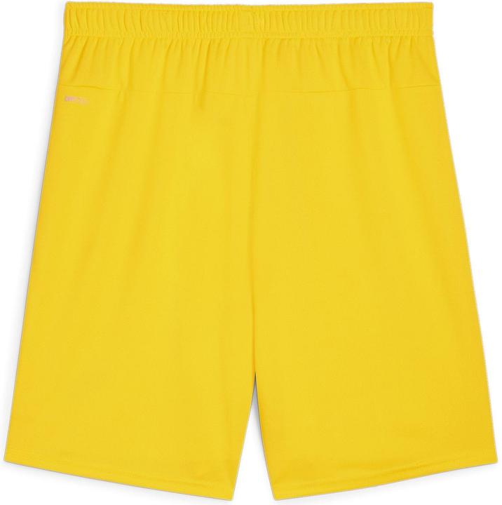 Actual product image Puma teamGOAL shorts (3XL)