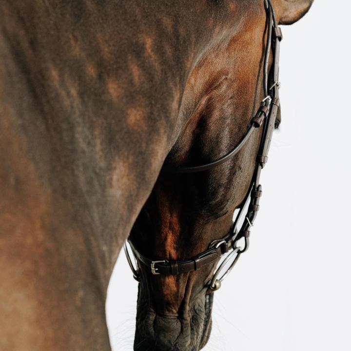 Immagine prodotto Fouganza Trense 580 Strass braun