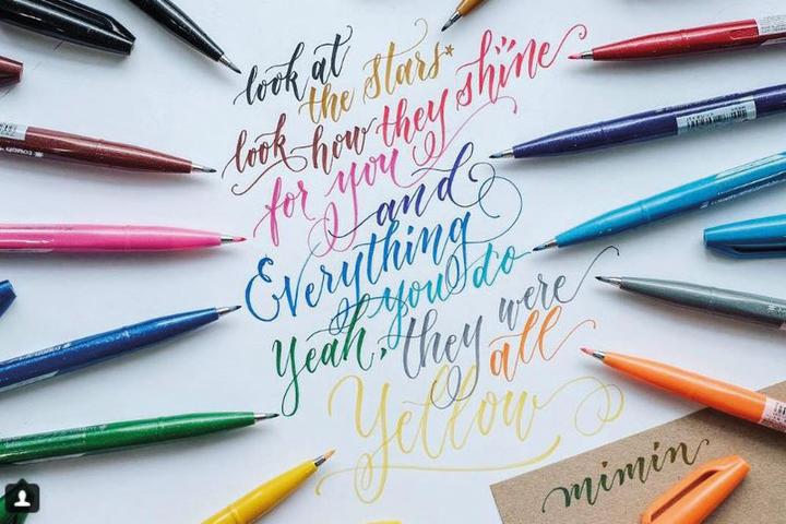 Actual product image Pentel Brush Sign Pen, Fibre Pen (Multicoloured, 1 x)
