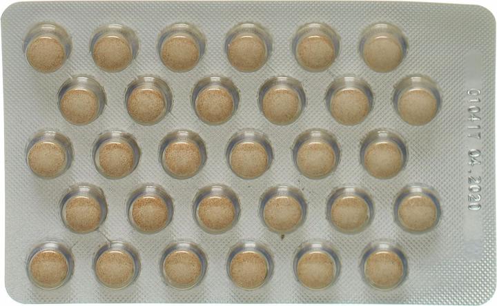 Produktbild Holistic Med Sojaflavon Tabl (1 Stück, Tabletten)