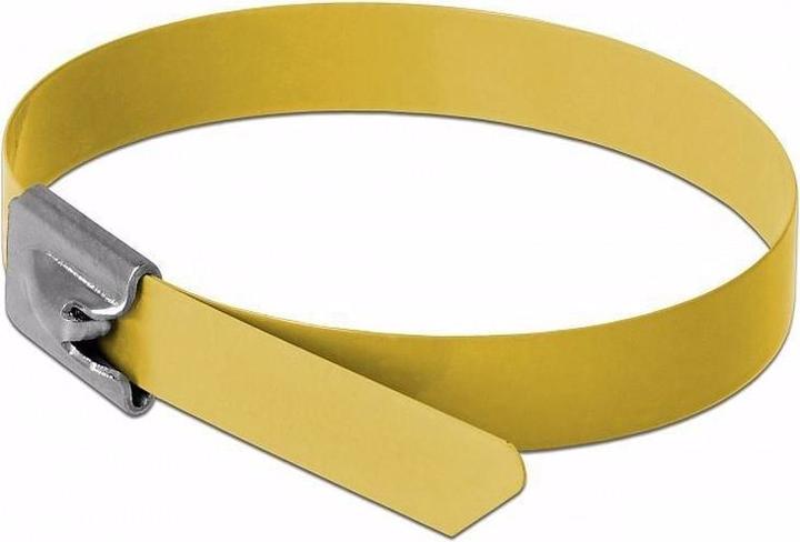 Actual product image Delock Stainless steel cable tie 500x7,9 10pcs. (Metal cable ties, 500 mm, 10 pcs.)