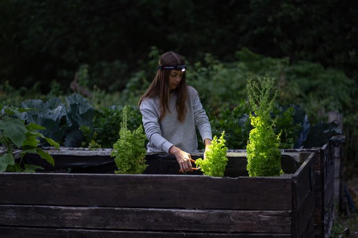 Produktbild Ledlenser H5R Core (500 lm)