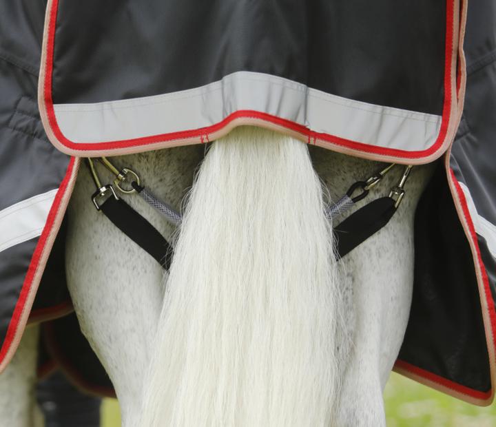 Actual product image Premier Equine Outdoordecke Buster 100 g Halsteil 100 g – (175 cm)