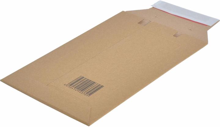 Produktbild Fellowes Versandkarton CD (1 x)