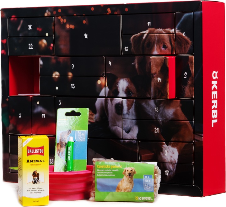 Actual product image Hauptner X-Mas Advent Calendar 2019 Dog