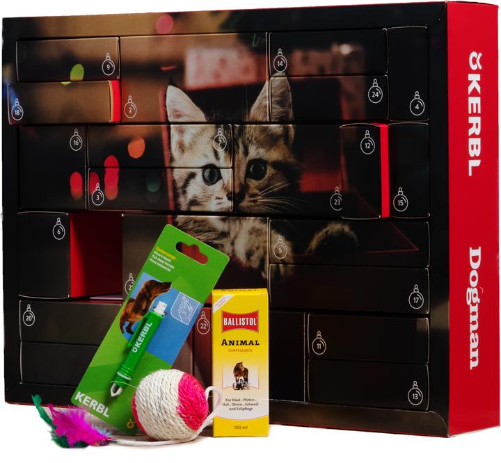 Actual product image Hauptner X-Mas Advent Calendar 2019 Cat
