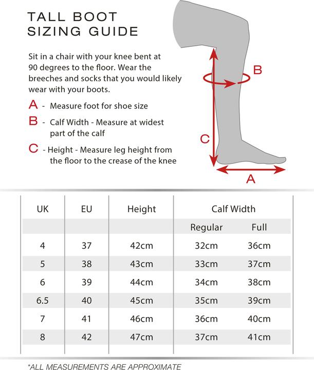 Produktbild Premier Equine Rowford Reitstiefel (175 cm)