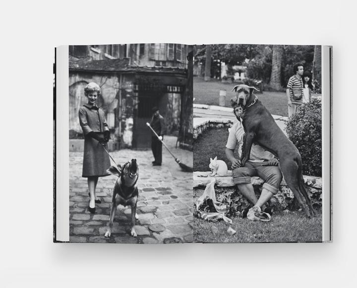 Immagine prodotto Hunde lieben